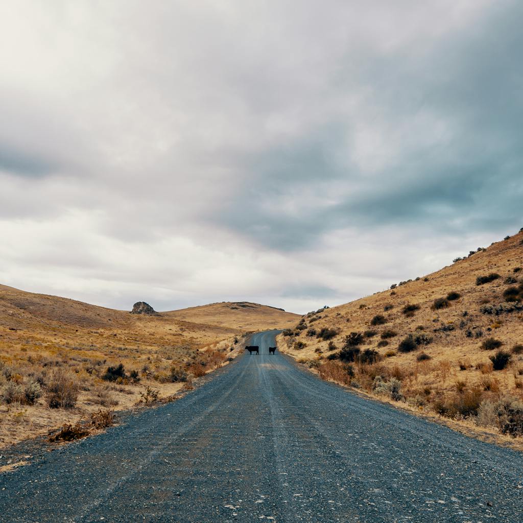 Rural road through dry hilly terrain